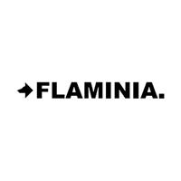 CERAMICA FLAMINIA logo 