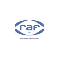RAF logo 