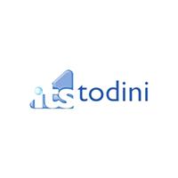 ITS TODINI logo 